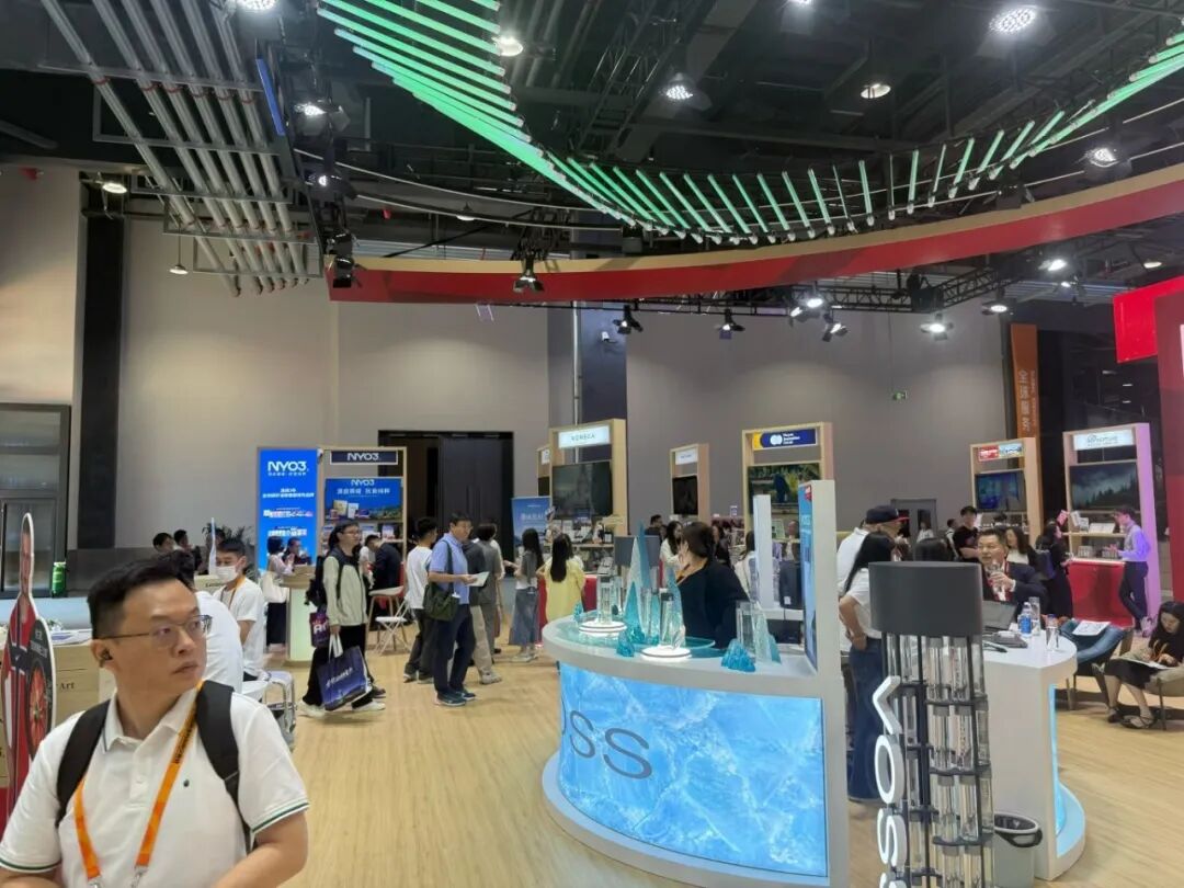 挪威展区现场交流